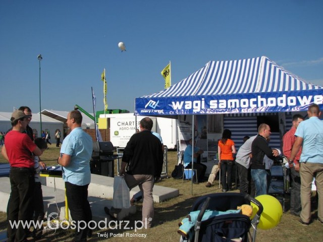 Zdj. - 581 - MIARY I WAGI Tomasz Kogut Sp.j.