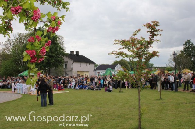 Występy artystyczne odbywające się podczas Dni Indyka