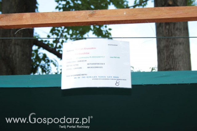 Wystawa Bydła Mlecznego