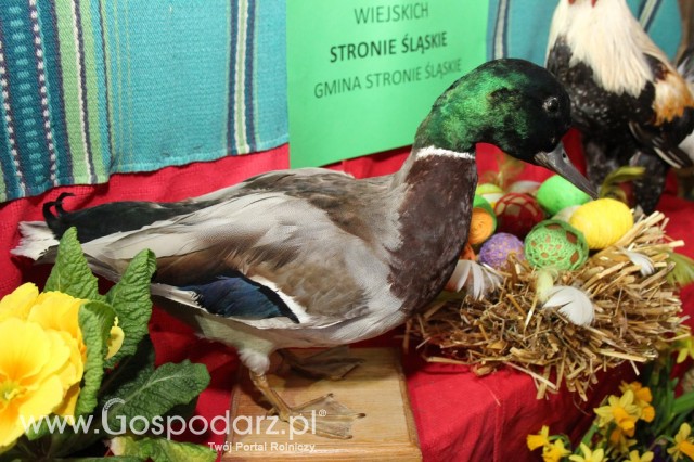 XV Spotkania Tradycji Wielkanocnych Ziemi Kłodzkiej - 52