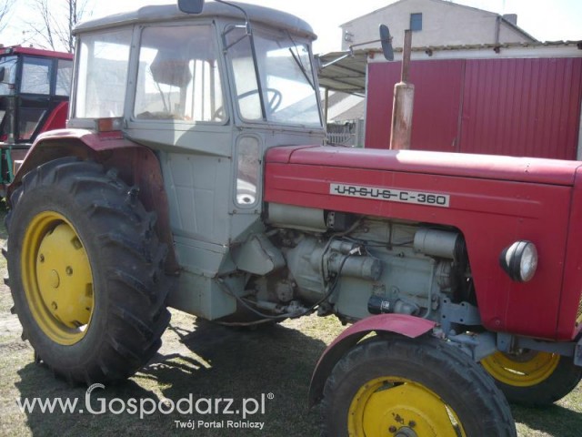 Przed transformacją;p