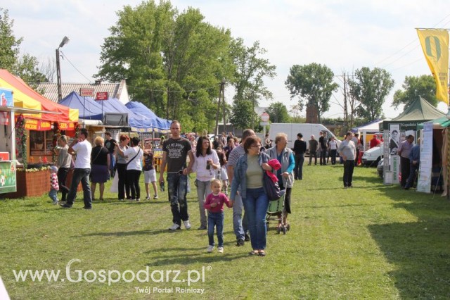 Gołaszyn – Wiosna 2011 IV Regionalne Targi Rolnicze 