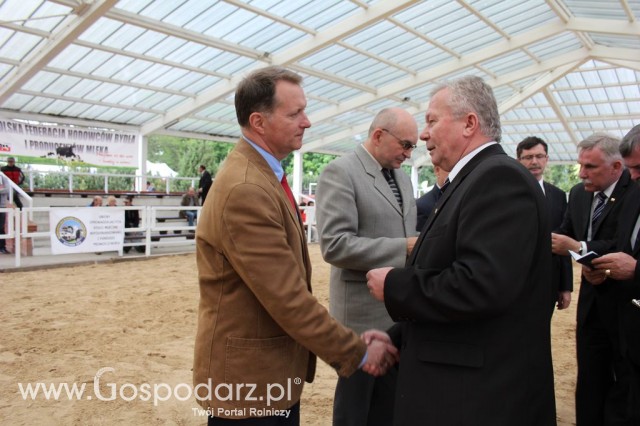 VII Ogólnopolska Wystawa Bydła Hodowlanego - 14