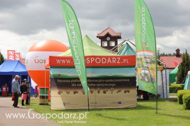 VII Ogólnopolska Wystawa Bydła Hodowlanego - 94