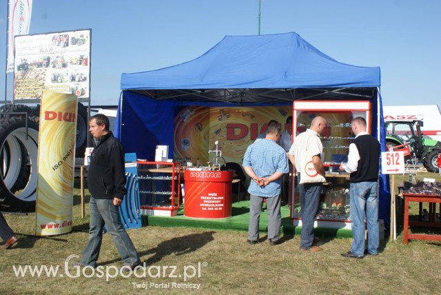 Zdj. - 32 - DIUNA SP.j. Piotr Drabiński, Jerzy Wyporkiewicz