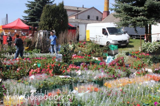 Fotoreportaż z XX Agro-Targów 2011 w Starej Łubiance