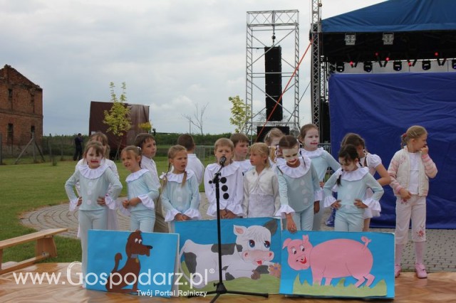 Występy artystyczne odbywające się podczas Dni Indyka