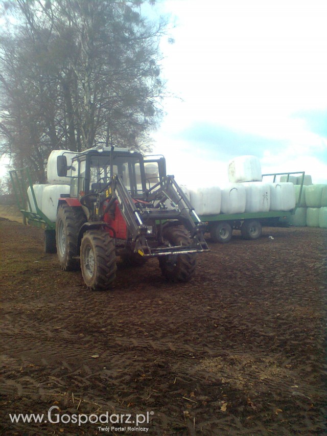 MTZ BELARUS 820.2 +PRZYCZEPA PRONAR