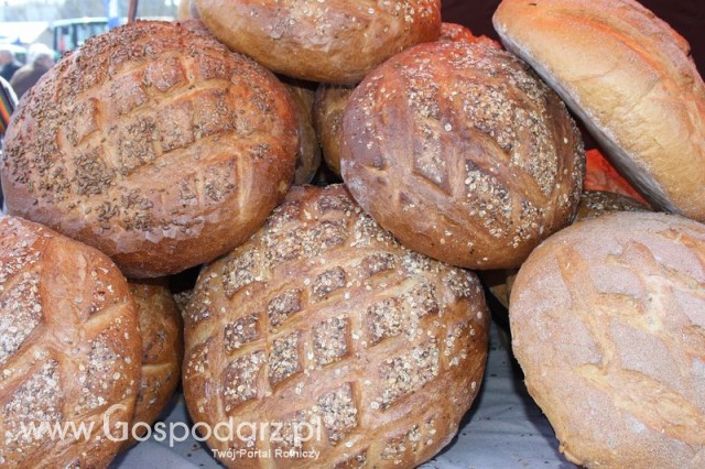 Fotoreportaż z XX Agro-Targów 2011 w Starej Łubiance