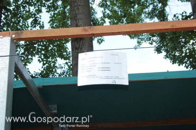 Wystawa Bydła Mlecznego