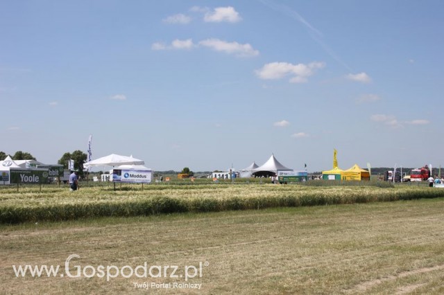 Polskie Zboża 2011 - Sobota