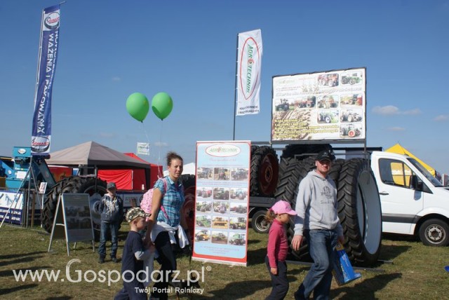 Zdj. - 28 - DOMASZ TOMASZ WALIGÓRA