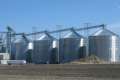 Przetarg na budowę 39 silosów zbożowych w Algierii