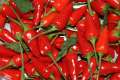 Włochy – Targi pikantnej papryczki