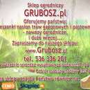 Trawa ogrodowa + Nawóz do trawnika na działkę 1000m kw.