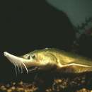 Biznes w rolnictwie - propozycje hodowli, inne formy