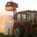 Chwytak masztowy do bel, ładowacz bel