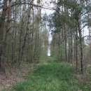 Sprzedam gospodarstwo rolne - miejscowość Jedlnia