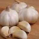 czosnek bezpośrednio od plantatora-Hiszpania!