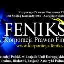 SKUTECZNA WINDYKACJA ...