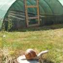 Biznes w rolnictwie - propozycje hodowli, inne formy