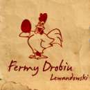 Odchowam kurę nioskę