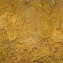 EKOLOGICZNE Liście tytoniu Virginia KLASA 1,Burley KLASA 1