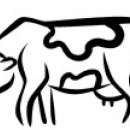 Centrum Usług Rolniczych Farm Service