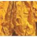 liscie tyton doskonala jakosc