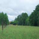 Sprzedam atrakcyjne gospodarstwo rolne 1ha