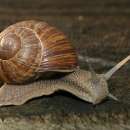 Biznes w rolnictwie - propozycje hodowli, inne formy