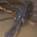 Biznes w rolnictwie - propozycje hodowli, inne formy