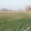 Gospodarstwo rolne na sprzedaż