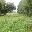 Sprzedam atrakcyjne gospodarstwo rolne 1ha