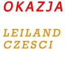 leiland  silniki, skrzynie, hydraulika i wiele innych czesci