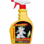 CHMURKA NAWOZOWA ROŚLINY KWITNĄCE