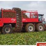 Agrifac Big Six sześciorzędowy kombajn do zbioru buraków cukrowych