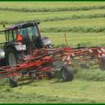 Lely Hibiscus CD - zgrabiarki karuzelowe