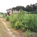 Rozdrabniacz (kosiarka rotacyjna) SCHULTE FX310 - nowy