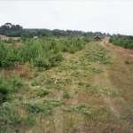 Rozdrabniacz (kosiarka rotacyjna) SCHULTE FX315 - nowy