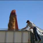 REM GRAIN VAC 3700 PRZENOŚNIK ZIARNA do 272 t/godz.