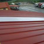 ŚWIETLIKI   PŁASKIE