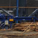 Stacjonarny rębak bębnowy Skorpion 250EB - Teknamotor