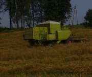 Class Dominator 80 - kombajn zbożowy + szarpacz