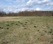 DZIAŁKA ROLNA Z LASEM, RĘBUSZ