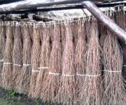 DLA PRODUCENTÓW   I  HODOWCÓW  ROLNYCH