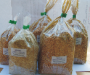 ORKISZ ZIARNO DO GOTOWANIA I NA MĄKĘ