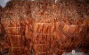 Sprzedam liście tytoniu I klasa