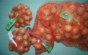 Cebula siatka 1 kg