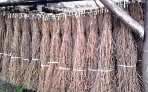 DLA PRODUCENTÓW   I  HODOWCÓW  ROLNYCH